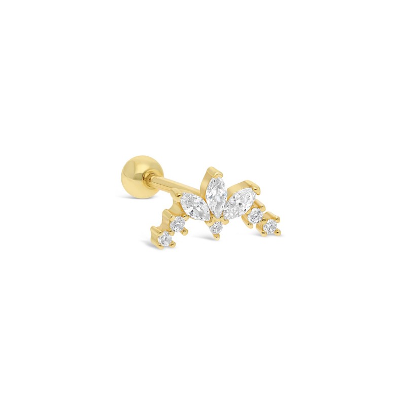 Piercing myosotis or